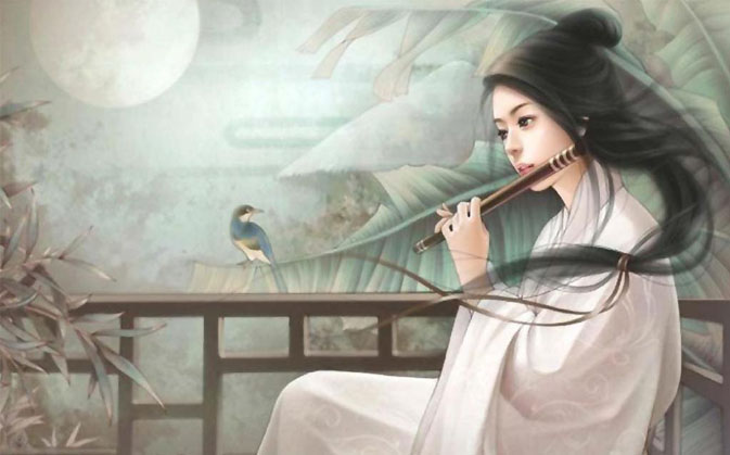 花开双色，灼灼其华