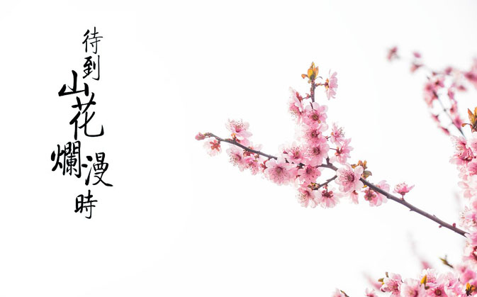 古风短篇小说：桃烬