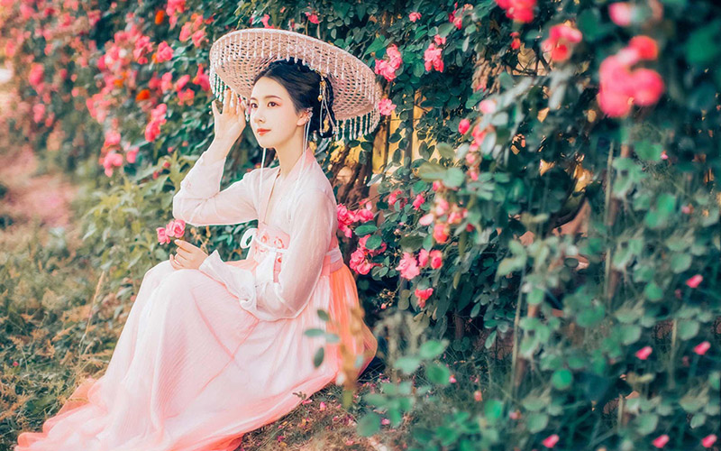 芙蓉千朵为谁采