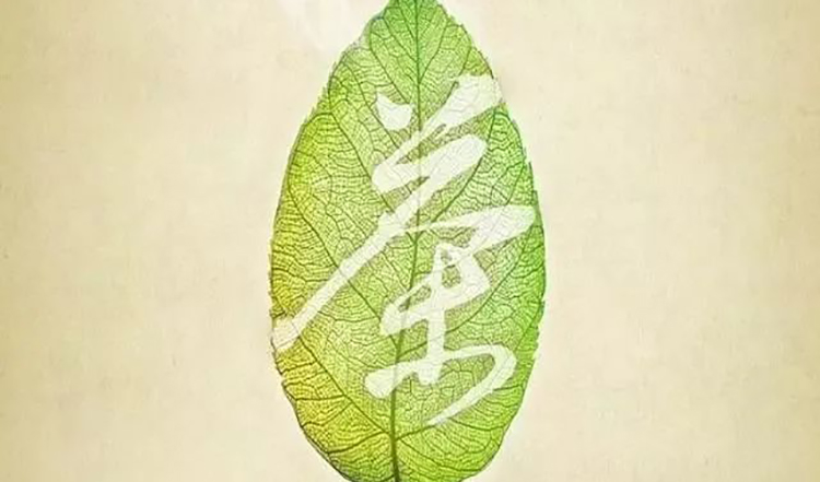 央视纪录片《茶，一片树叶的故事》简介