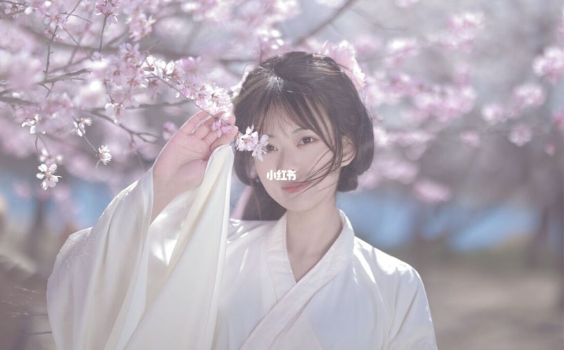 唯美古风（100篇）(图1)
