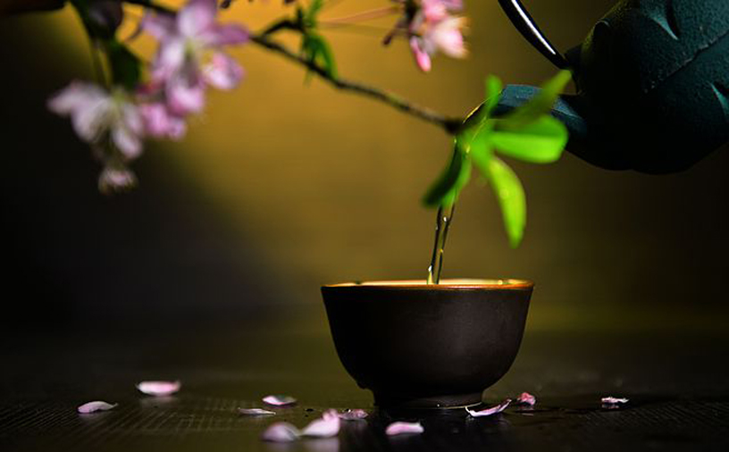 太平猴魁小课堂(图1)