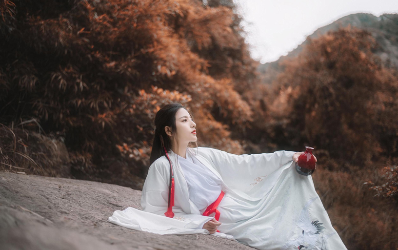 烟雨莲花 梦留江南(图2)