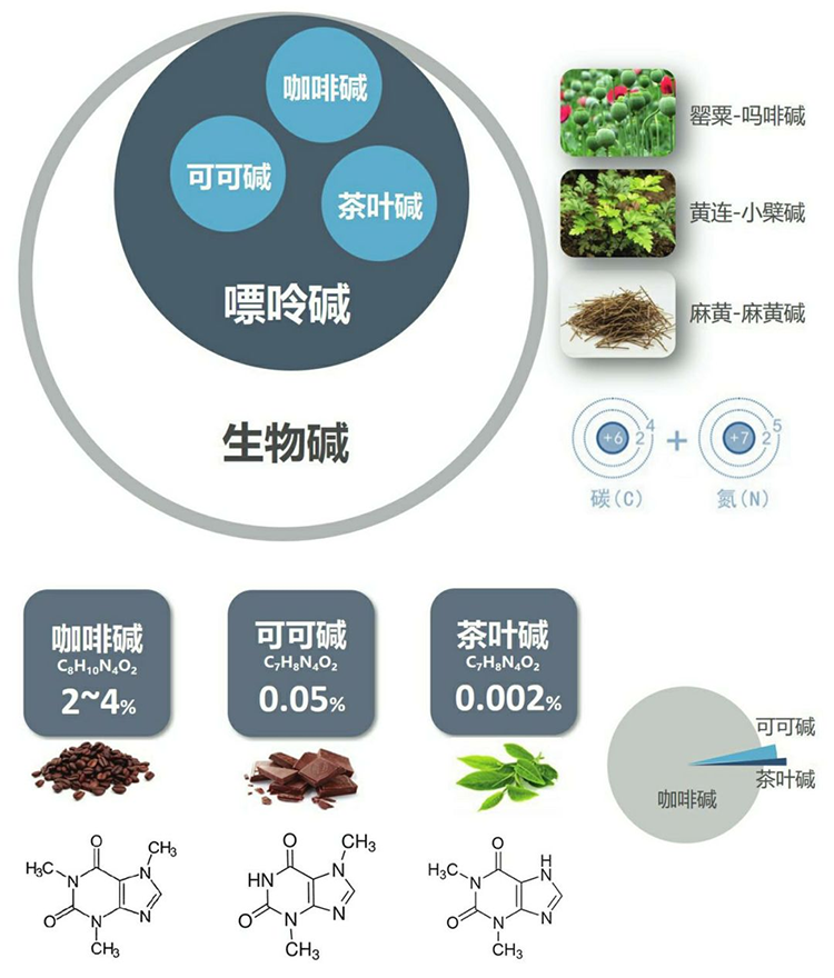 茶叶的初级代谢及次级代谢产物——咖啡因(图1)