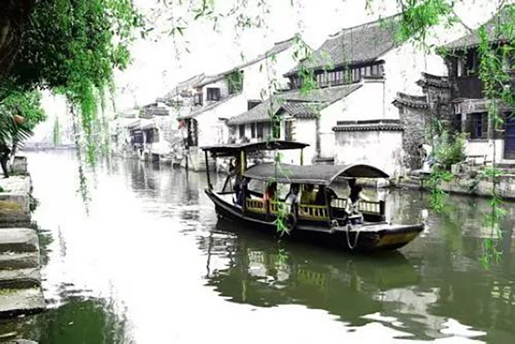 茶叶围着餐桌转(图4)