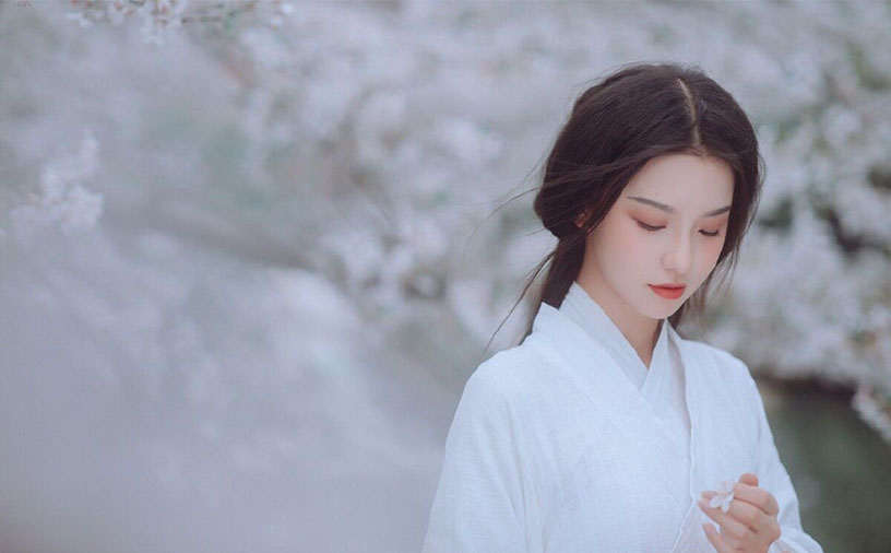 乍见之欢，不觉暮雪已白头——娄昭君(图1)