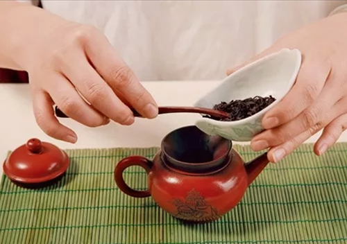 茶知识——大红袍相关介绍(图3)