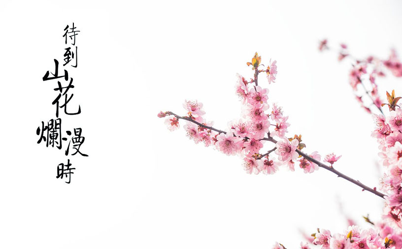 古风短篇小说：桃烬(图1)