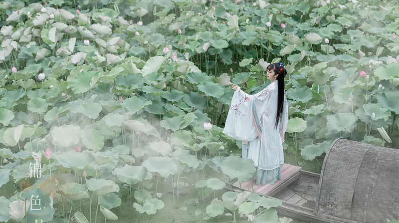 空如此生，静若幽莲(图3)