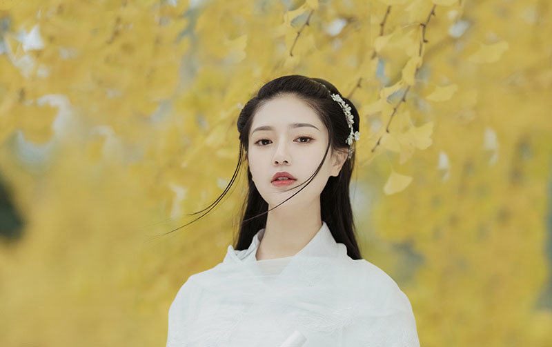 悲歌尽，相思老，红颜渐憔，何处是琼楼？(图3)