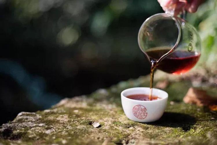 茶汤上的“油“”雾”，是怎么回事？(图4)