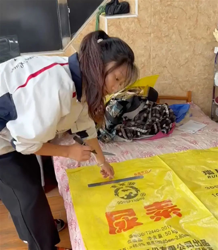 女生用尿素袋子做汉服拍出唯美照片(图1)